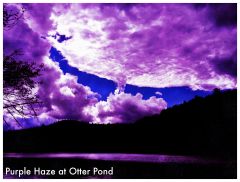 Purple Haze at Otter Pond