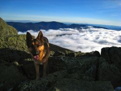 Ozzy Above The Clouds