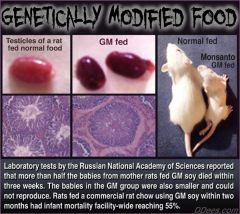 Your Gonads on GMO Food
