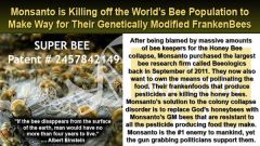 Monsanto's Super Bees