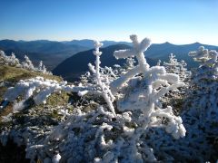 Close up of Rime Ice