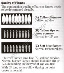 How to Evaluate Gas Flames
