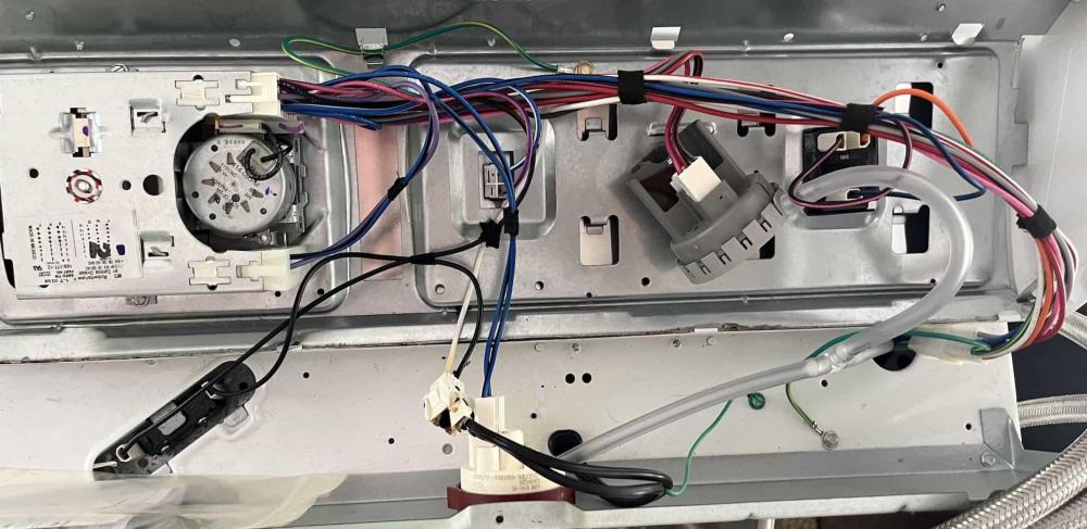 back panel.jpg