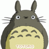 totoro